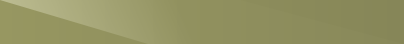 ppe8585c38.png